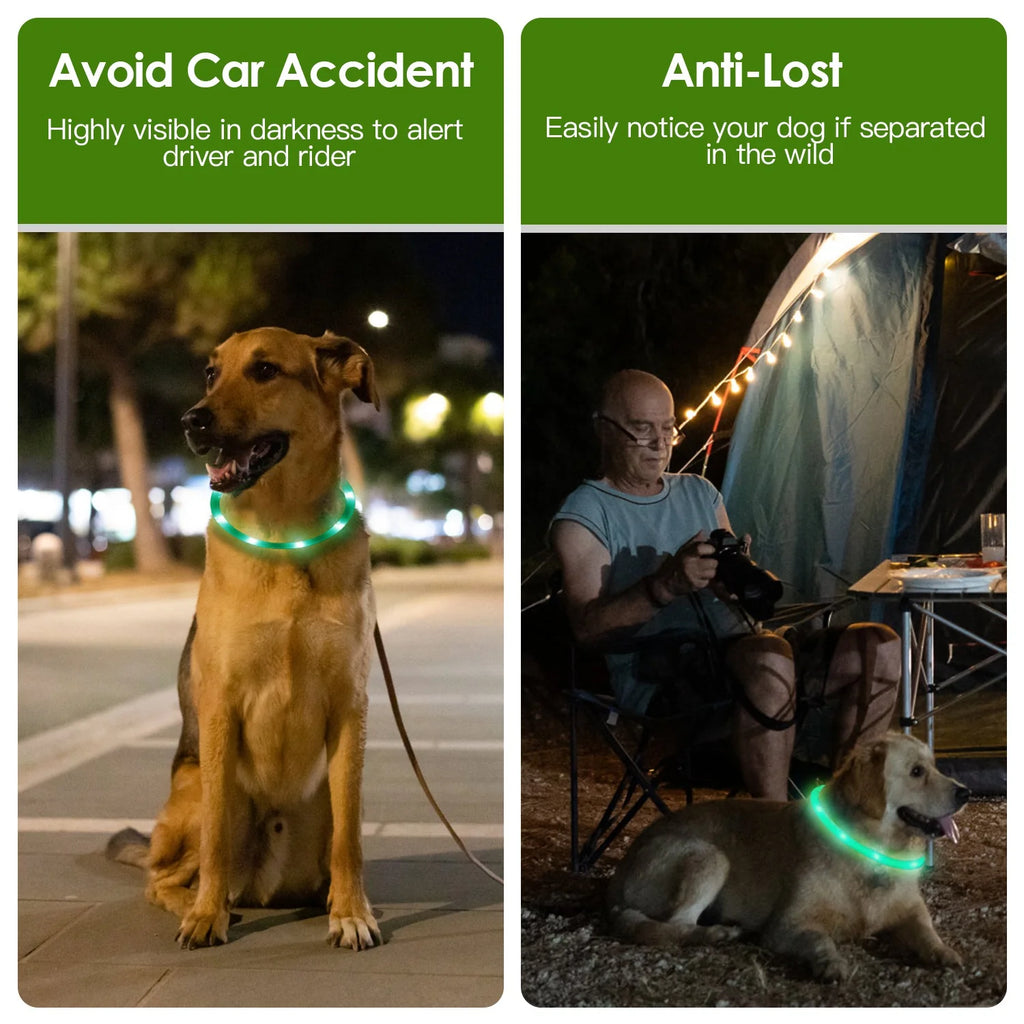 1Pc USB Rechargeable LED Dog Collar Multi Color Lighting Dog Safety Collar Cuttable Length Glow Dog Collar for Small Medium Large Dog Night Walking