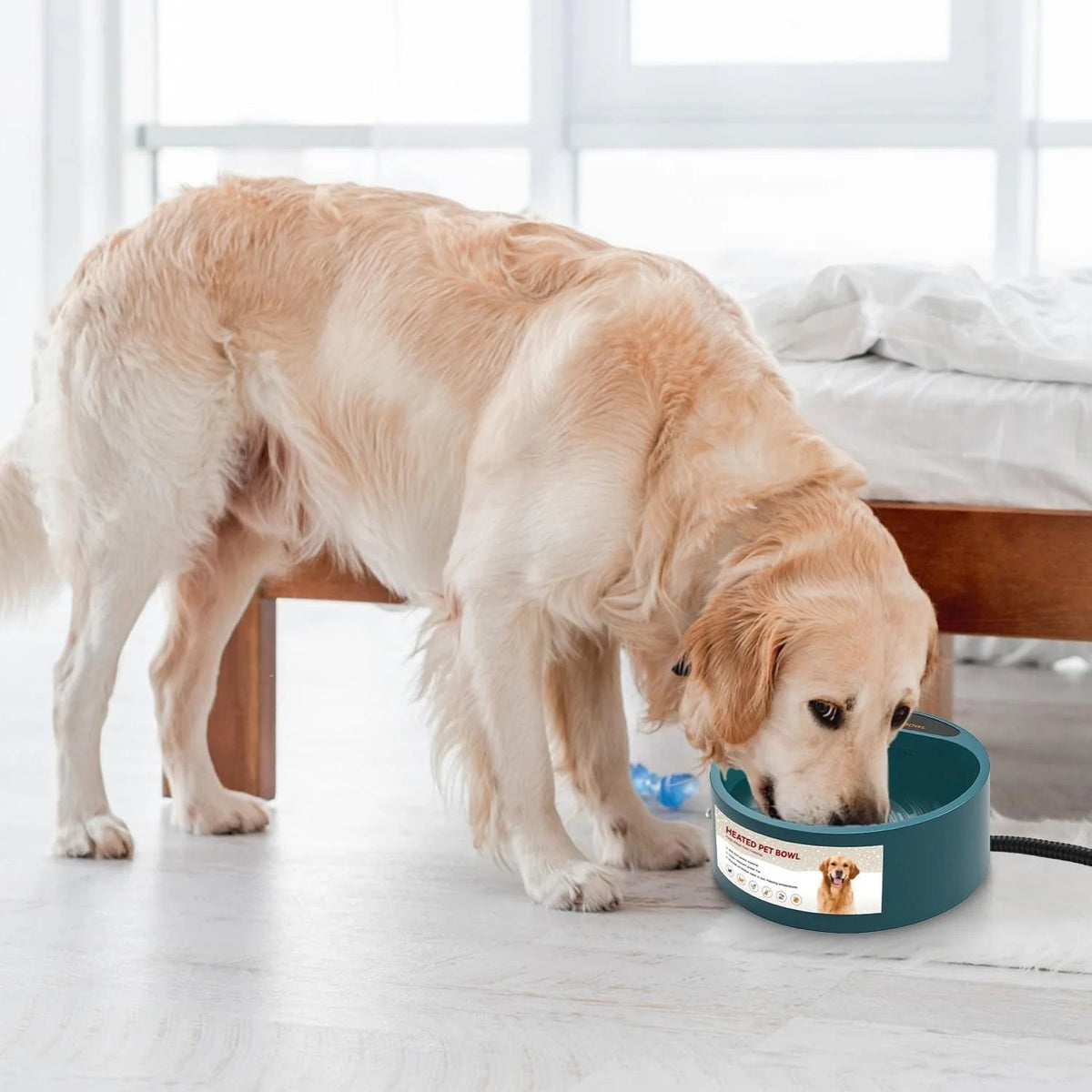 Dog drinking from a heated pet water bowl
